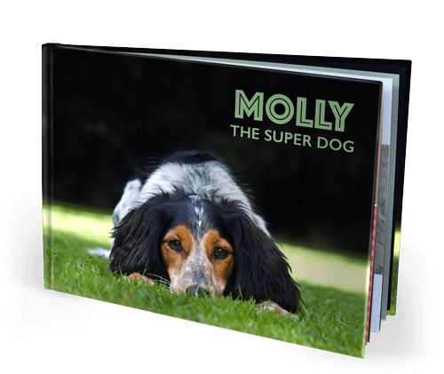 13x10 Hardcover